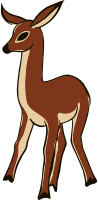 Deer 5