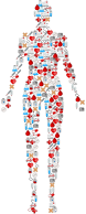 Medical Icons Human Body