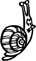 Snail 6