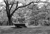 hw bench