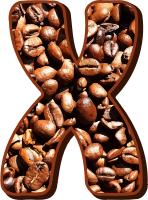 Coffee beans typography X