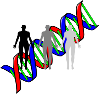 Human Cloning