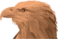 Eagle 10