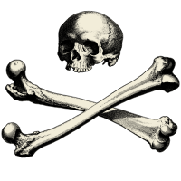 skull 3