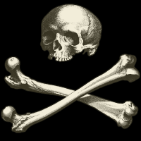 skull 5
