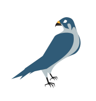 Falcão, Hawk