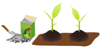 horticultural (garden) fertilizer