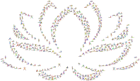 Lotus Flower Yoga Poses