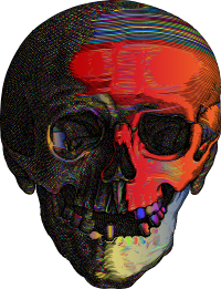 Detailed Skull Line Art Polyprismatic
