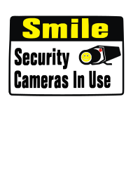 Smile Security Cameras in use