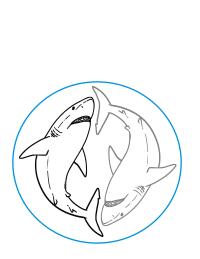 Great White Shark yinyang black gray