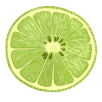 Bergamot Orange Slice