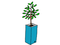 flower pot