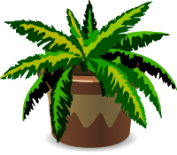 House Plant 1
