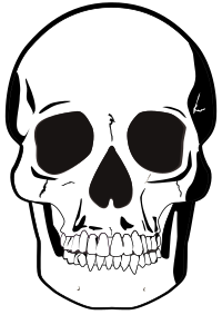 Black & White Skull