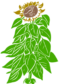 Abstract Sunflower - Simple Colour Remix