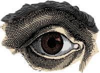 Brown Eye