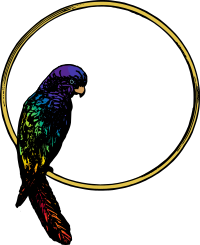 Parrot Frame - Colour Remix