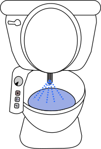 Cleansing Toilet
