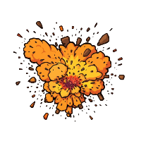  Bomb Explosion
