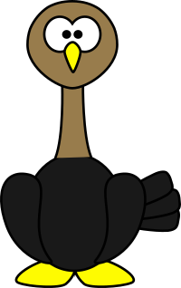 Anhinga