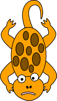 Newt