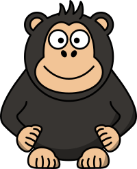 chimpanzee