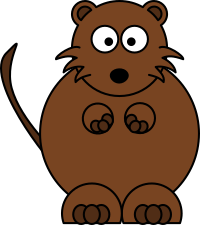 Muskrat