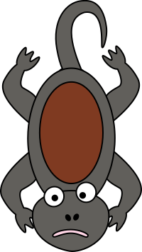 Salamander