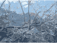 Nest of Tree Branches
