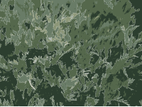 Beijing Green Bushes