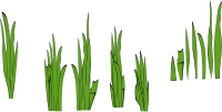 Grass Blades and Clumps