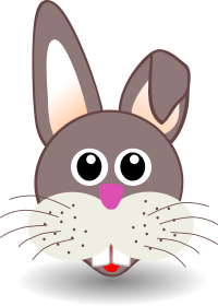 funny bunny face
