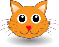funny kitty face