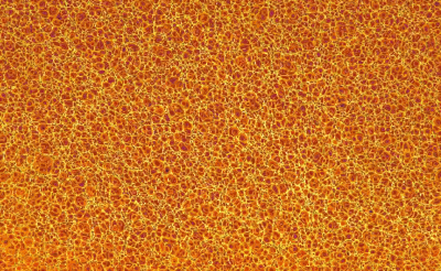 230557