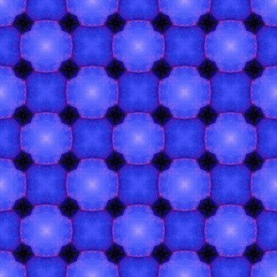 263254