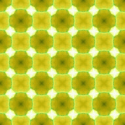 263255