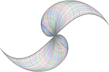 306065