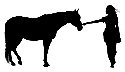 356490