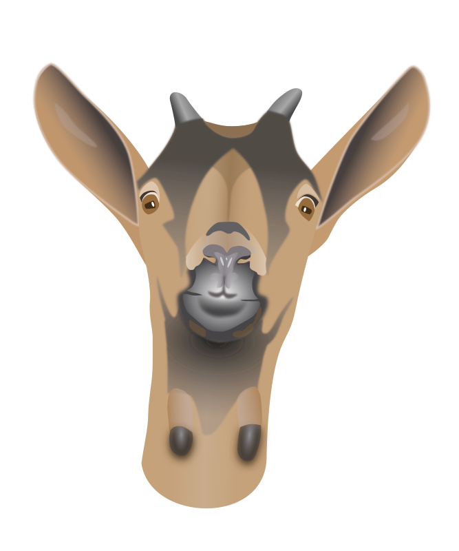 Goat Head