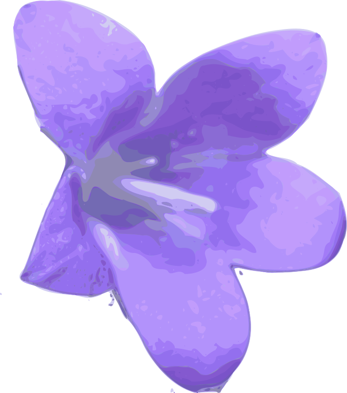 flower-03
