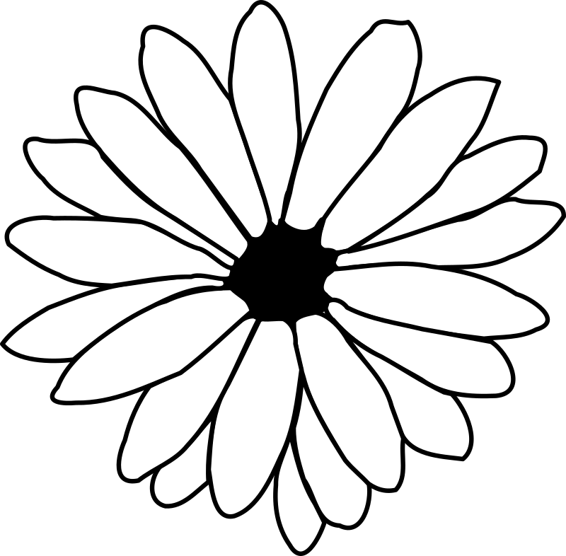 flower2 juliane krug 01