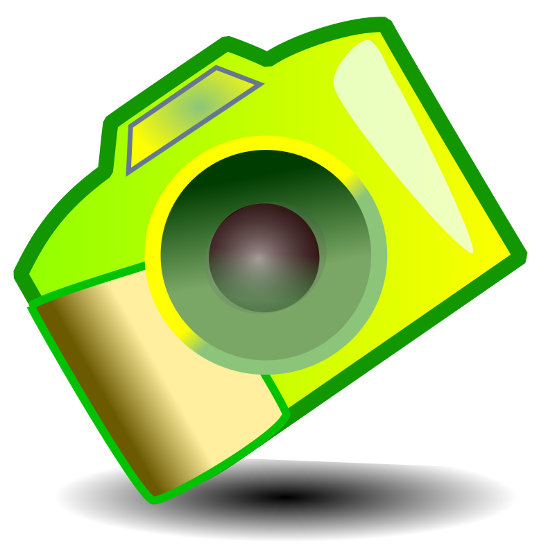 camera mount