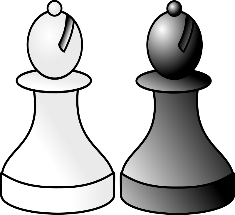black and white bishop r