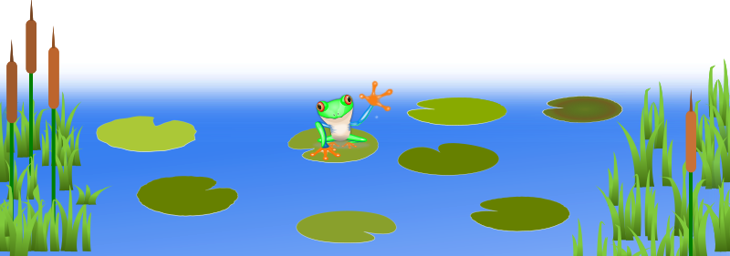 Frog On Bluish Pond
