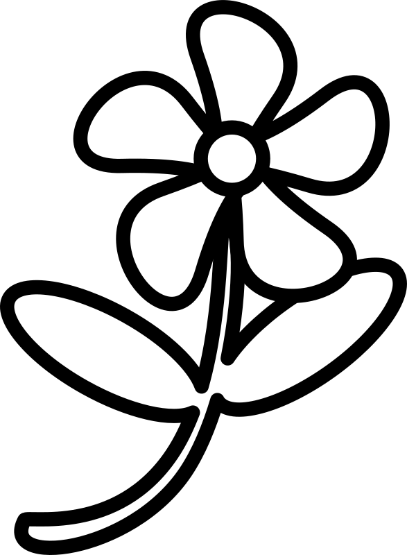 Flower 2
