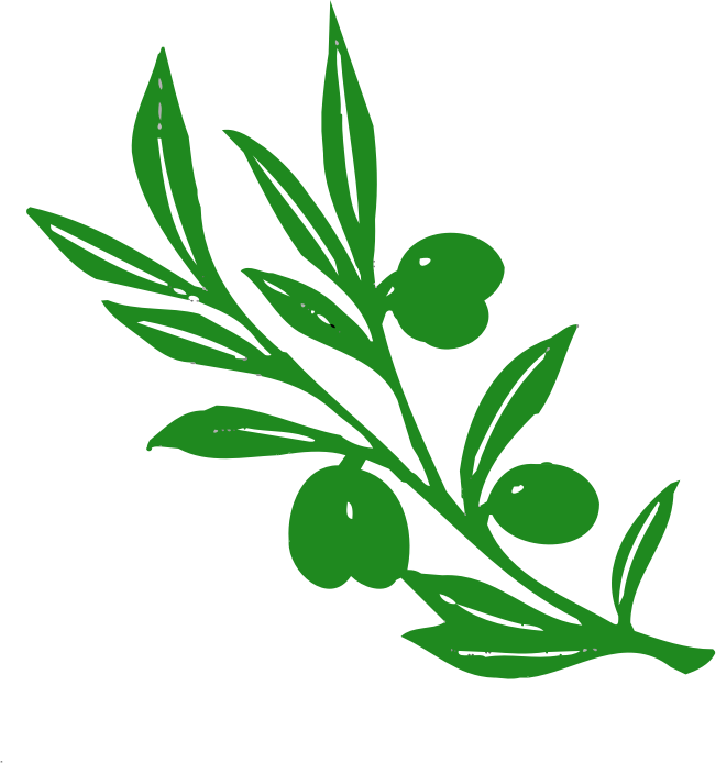 olive tree branch