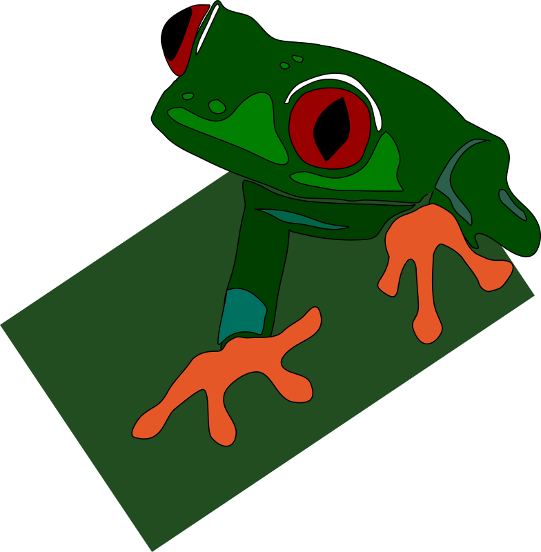 red-eyed frog