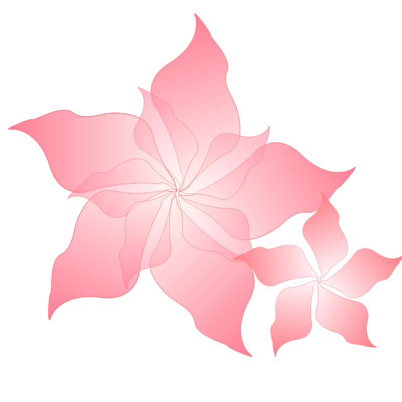 pink flower