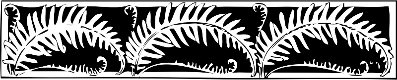 fern border